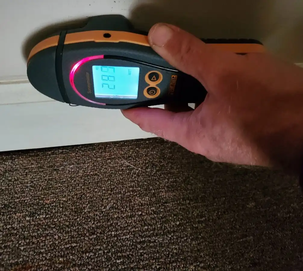 Moisture detection at baseboard during Sewage Cleanup & Sanitation in Lyon